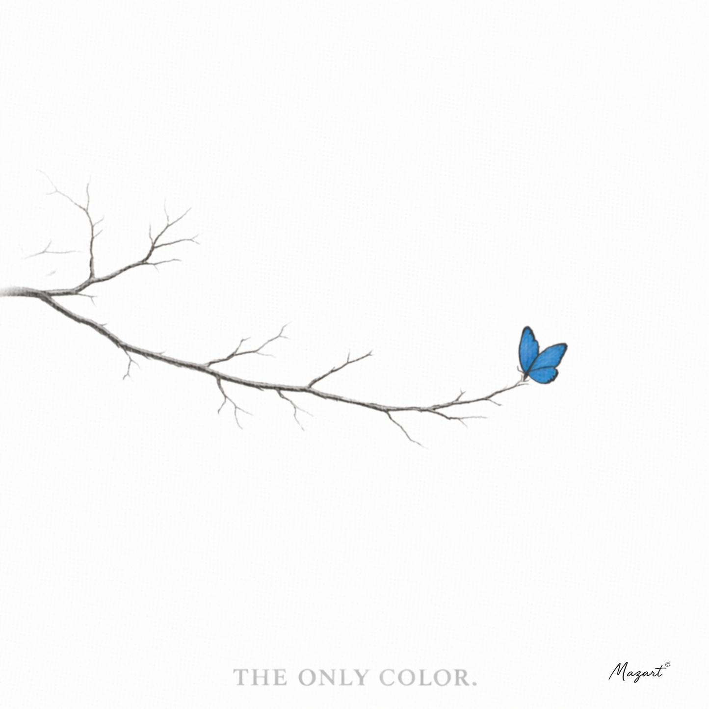 THE ONLY COLOR. – Branch