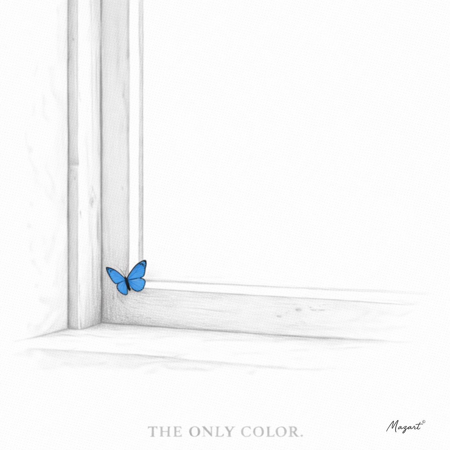 THE ONLY COLOR. – Window