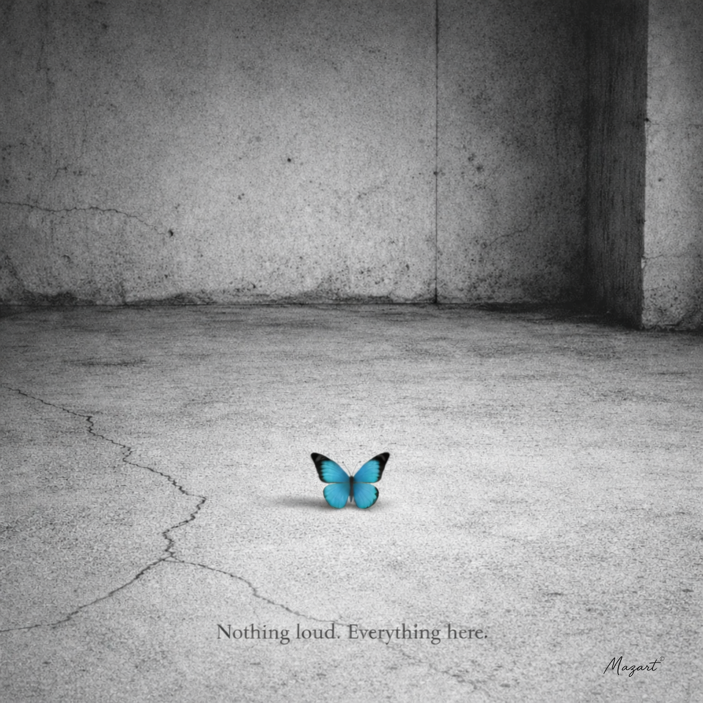 THE ONLY COLOR. – Ground